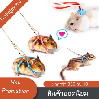 PetEnjoy Pro สายรัด Chipmunk สำหรับสัตว์เลี้ยง