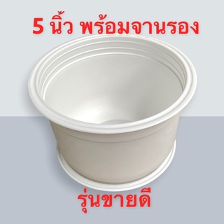 กระถางขาว ทรงกลม 5 นิ้ว พร้อมจานรอง