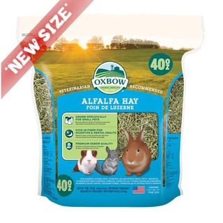 Oxbow ALFALFA HAY อัลฟาฟ่า 40 oz. 1.13 กก.