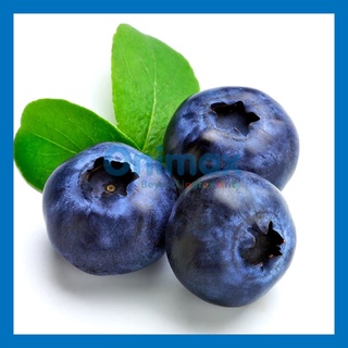 สารแต่งกลิ่นผสมอารหาร กลิ่นบลูเบอรี่ ( BLUEBERRY FLAVOR ) liquid ขนาด 100g. 500g.