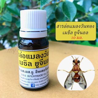 สารล่อแมลงวันทอง เมธิลยูจินอล 10ml ของแท้100%