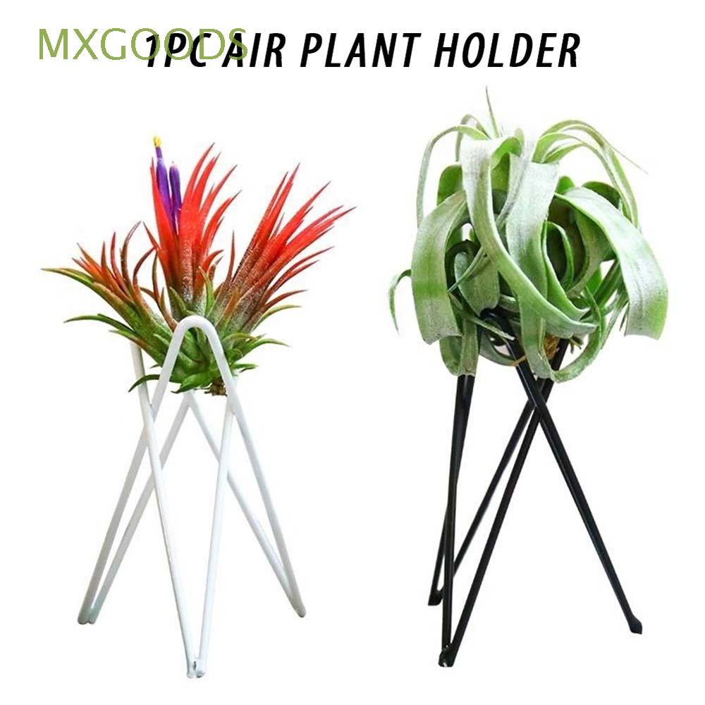 MXGOODS Nordic Style Air Plant Holder Irregular Home Decoration Flower