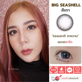 ไม่แถมตลับ Big Seashell Gray (ตาโต) คอนแทคเลนส์ Kitty Kawaii