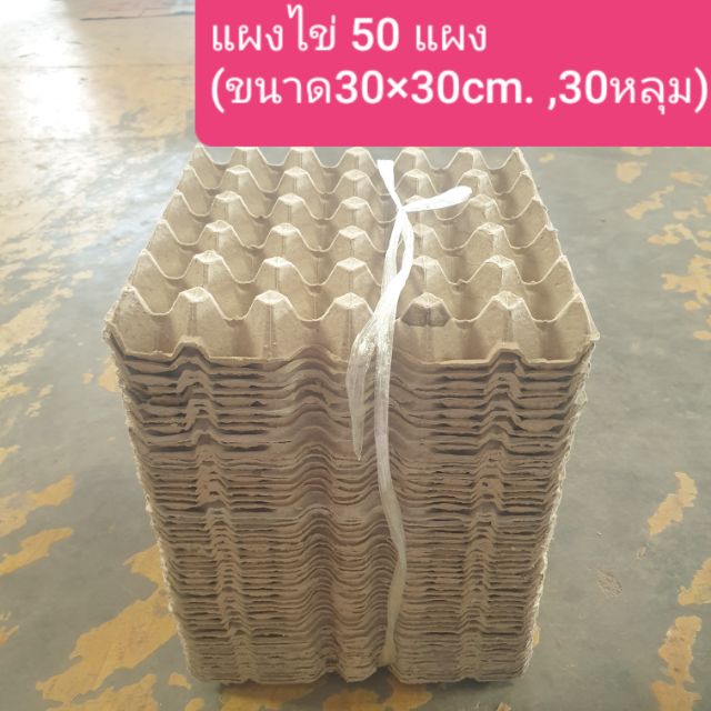 แผงไข่ 50ชิ้น กันเสียง เลี้ยงจิ้งหรีด ขนาด30×30cm 30หลุม ส่งฟรี