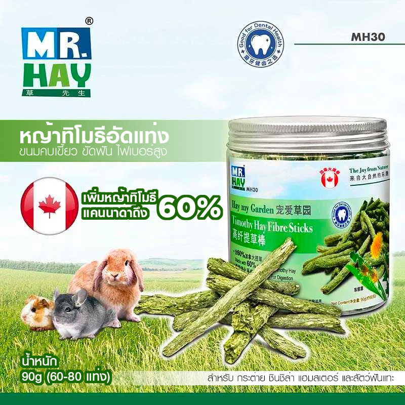 MR.HAY Timothy Hay Fibre Sticks หญ้าทิโมธีอัดแท่ง ขนมคบเขี้ยวสำหรับ กระต่าย ชินชิล่า แฮมสเตอร์ และสั