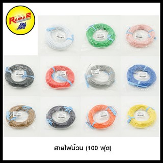 สายไฟม้วน (100ฟุต) มี 11 สี