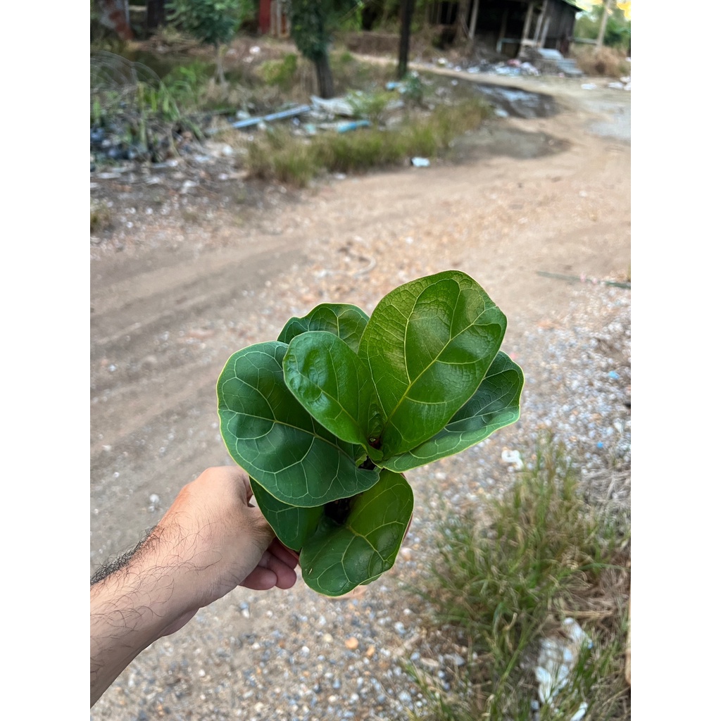 มุมมอง 2