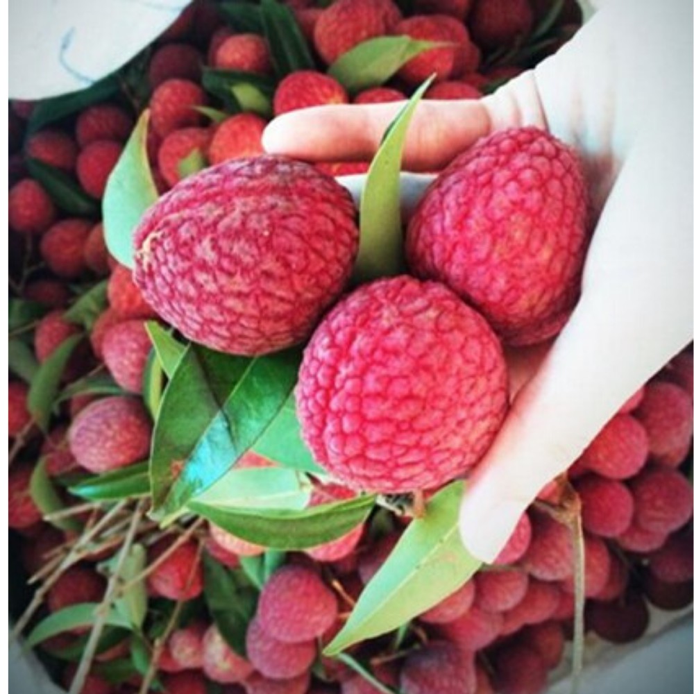 ลิ้นจี่อบแห้ง บรรจุ 1 กิโลกรัม - รูปที่ 2