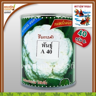 เมล็ดพันธุ์ กะหล่ำดอก A40 ขาวนวล ดอกใหญ่ (40 กรัม) เมล็ดกะหล่ำดอก เมล็ดผักเมืองหนาว เมล็ดพันธุ์ผักสวนครัว ตราปลาทอง