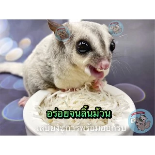 ( มะพร้าวเส้น ) COCONUT มะพร้าวอบแห้ง มะพร้าวฝอย อาหาร ขนม สัตว์เลี้ยง สัตว์เล็ก ชูการ์ กระรอก ดอร์เมาส์ แฮมสเตอร์