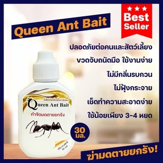 เหยื่อกำจัดมด Queen ant Bait ปลอดภัยกับคน ฆ่ามดยกรัง อาหารมด เจลกำจัดมด ฆ่ามดทั้งรัง(ขนาดบรรจุ 30 กรัม)