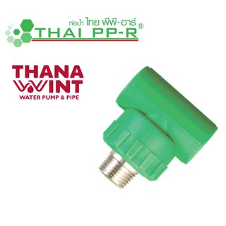 สามทางเกลียวนอก PP-R ขนาด 20-32 mm ตราไทยพีพี-อาร์ (THAI PP-R)