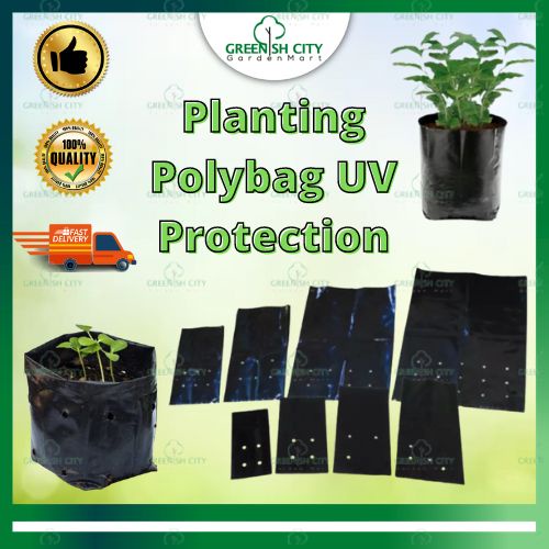Polybag สีดํา UV Nursery Plantation Bag Polibeg Semaian Nursery ถุงพลาสติก 黑色育苗袋