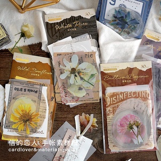 Journamm สติ๊กเกอร์พีวีซี 30 ชิ้น / แพ็คสําหรับตกแต่งกระดาษ Junk Journal Litmus