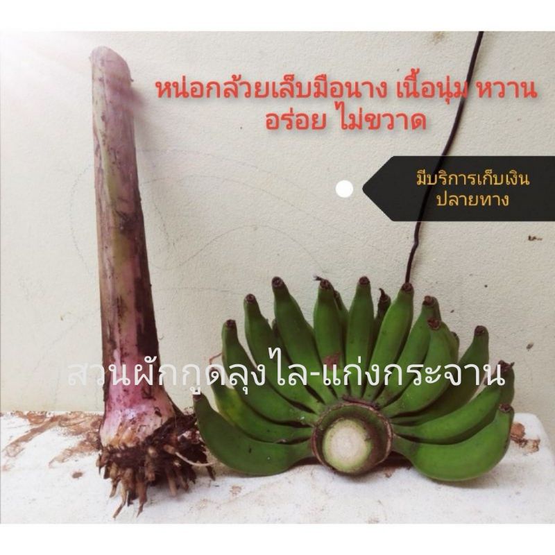 หน่อกล้วยเล็บมือนาง​​ เนื้อนุ่ม​ หวาน อร่อย​ ไม่ขวาด​
