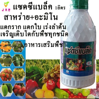 แซดซีแบล็ค 1ลิตร สาหร่ายชนิดน้ำ สูตรเข้มข้น +กรดอะมิโน ฮอโมนพืช อาหารเสริมพืช แตกรากขาว ใบหญ้า ใบเขียว บำรุงลำต้น เร่งกา