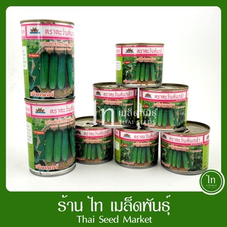 แตงกวา กรีนเนอร์ เมล็ดพันธุ์ แตงกวา ลูกผสม ตรา ตะวันต้นกล้า บรรจุ 100 / 50 กรัม