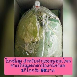 ใบหมี่สด ขนาด1กิโลกรัมราคา100บาท