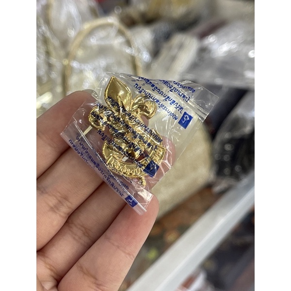 หน้าหมวกลุกเสือครู นักเรียน – โปรปัง