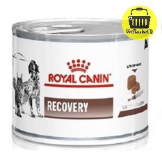 Royal Canin Recovery อาหารสัตว์ป่วย พักฟื้น