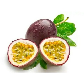 เสาวรส Passion fruit พันธุ์ไทนุง