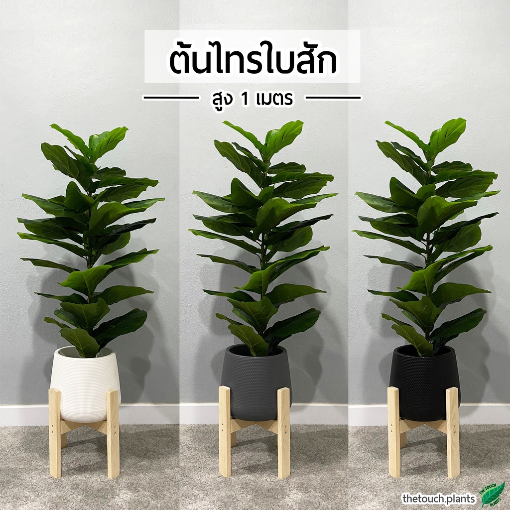 ต้นไทรใบสัก สูง 1 เมตร ทรงสูง ต้นไม้ปลอม พร้อมกระถางหยดน้ำและหินสีขาวฟรี