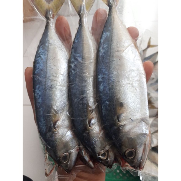 ปลาทูมัน(สูตรเค็มน้อย)250กรัม