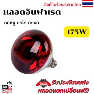 หลอดไฟอินฟาเรดกกไก่ กกหมู 175วัตต์ [แดงเรียบ] E27 หลอดไฟให้ความอบอุ่น infrared bulb 250w