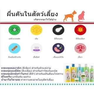 ดีโมครีม Democream ครีมทาผิวหนังสุนัข-แมว สัตว์เลี้ยง แก้ขนร่วง ช่วยปลูกขน ครีมทาผื่นคันหมาแมว ครีมทาผื่นหมาแมว