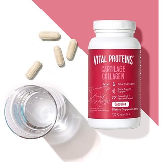 New 🇺🇸Pre order🌟🌟Vital Proteins, Cartilage Collagen, 120 Capsules