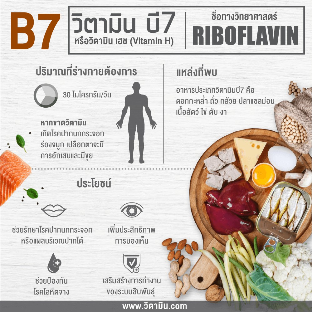 วิตามินรวม บำรุงผม ผิวและเล็บ Gummies Hair Skin &amp; Nails Raspberry 90 Count - Natrol แบบเม็ดเคี้ยว รสราสเบอร์รี่ | Shopee Thailand