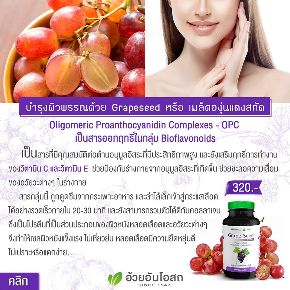 Herbal One Grape Seed Extract เฮอร์บัล วัน สารสกัดเมล็ดองุ่น - รูปที่ 2