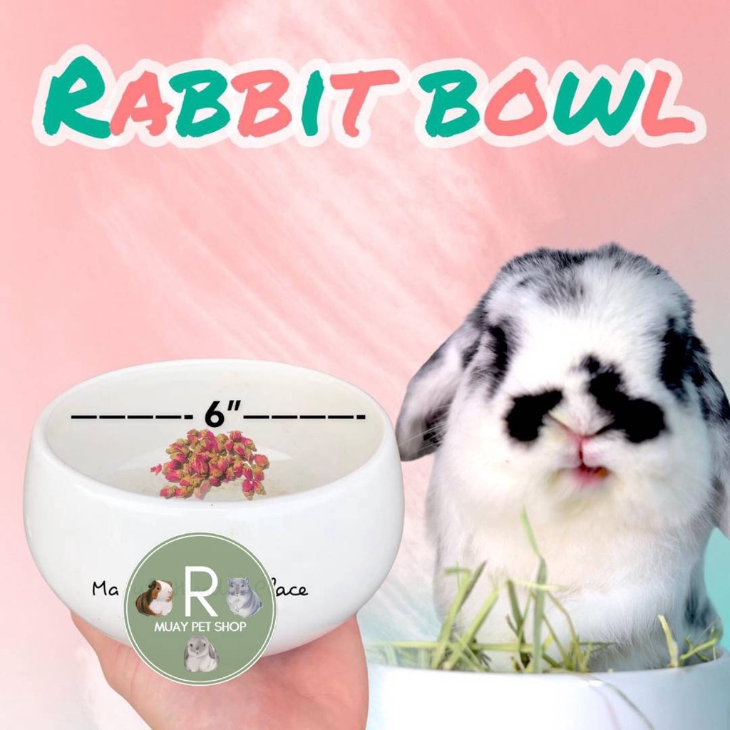 Rabbit bowl ถ้วยอาหาร/หญ้า ขนาด 6 นิ้ว Shopee Thailand