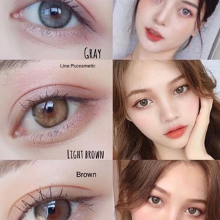 🌈Mini Olivia Light Brown and Brown🤎สายตาปกติ(0.00)ถึง-10.00✅-750ขึ้นไปทักแชทค่ะ (Kitty kawaii)