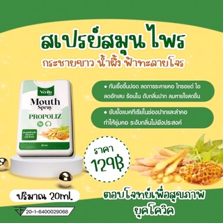 VINITA MOUTH SPRAY สเปรย์พ่นคอกระชายขาวน้ำผึ้งฟ้าทะลายโจร 💝ส่งไว24ชม. ของแถมทุกออเดอร์💝