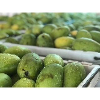 มะม่วงอบแห้ง AA สูตรธรรมชาติ 200กรัม มะม่วง ผลไม้อบแห้ง Dried Mango มะม่วงอบ