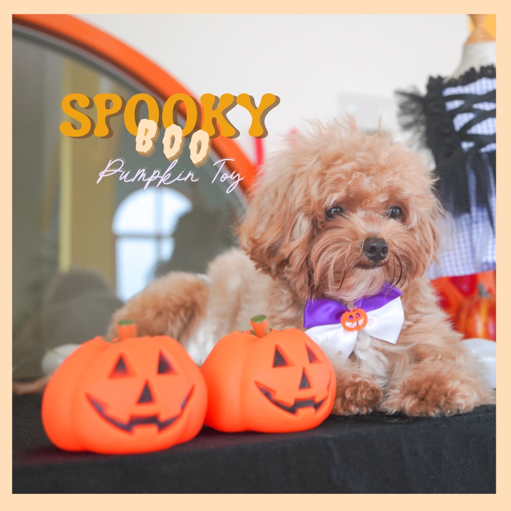 ของเล่นสัตว์เลี้ยง หมาเเละเเมว MOONIES PET007: Spooky BOO