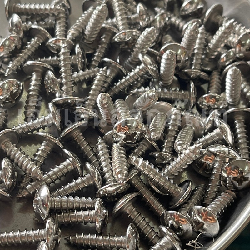 สกรูเกลียวปล่อย หัวร่มแฉก SUS สแตนเลส #8x5/8 (เทียบประมาณ4x16มิล) HONDA WAVE CLICK(ใช้กับกิ๊บเกลียวป