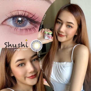 shushi gray รุ่นเทาสวยแซ่บ ขนาดโตกว่าตา