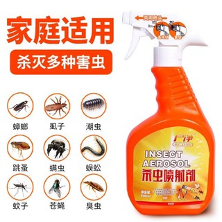 Insecticide spray สเปรย์กำจัดฆ่าแมลงร้าย