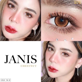 Janis เทาและน้ำตาล Wink ✨คอนเเทคเลนส์กรองเเสง✨