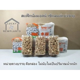 Sphagnum moss สแฟ็กนั่มมอส แบ่งขายกล่องละ 50฿ สินค้าพร้อมส่ง