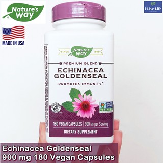 เอ็กไคนาเซีย โกลเด้นซีล Echinacea Goldenseal 900 mg 180 Vegan Capsules - Natures Way เสริมภูมิต้านทาน ป้องกันหวัด