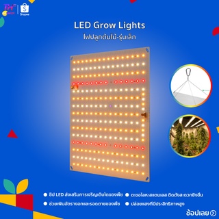 ไฟปลูกต้นไม้ ไฟ LED Grow Light ไฟปลูก ไฟเต็มสเปกตรัม สำหรับปลูกพืชเรือนกระจก