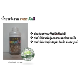 เพชร 7 สี น้ำยาเร่งราก สำหรับแช่ท่อนพันธุ์มันสัมปะรัง ช่วยให้ท่อนพันธุ์แตกราก แตกใบอ่อนเร็ว