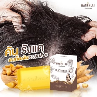 สบู่กระชายว่านไพล กำจัดติ่งเนื้อ ฝ้ากระ คอดำ ใบหน้าคล้ำ แก้ปัญหา กลาก เกลื้อน เชื้อรา สะเก็ดเงิน สิวที่หน้า สิวที่หลัง