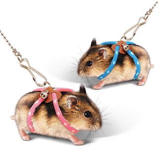 Alex Leash for Small Pet สายจูง/สายรัดอก สำหรับหนูแฮมสเตอร์ ทำจากเชือกไนลอนอย่างดี