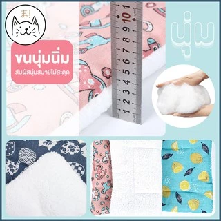 KUMA まเบาะรองนอน นุ่ม สบาย ใช้ได้ 2 ฝั่ง ที่นอนแมว ที่นอนสุนัข เบาะสัตว์เลี้ยง เบาะเสริม ที่นอนสัตว์เลี้ยง เบาะนุ่มแมว