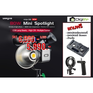 Weeylite LED Ninja 300 ( 80W , 5600K , CRI 95+ , Bowens Mount ) - รับประกันร้าน Digilife Thailand 7 วัน