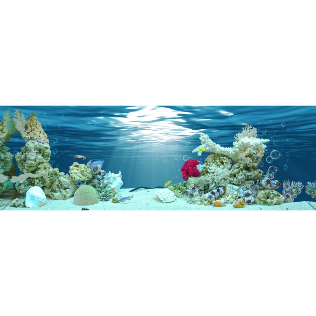 HD Aquarium วอลล์เปเปอร์ภาพวาด Coral ฉาก HAqua_040